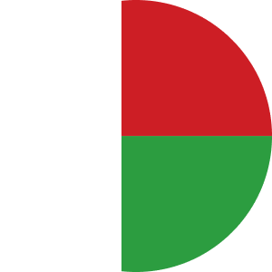 Madagascar-Mask