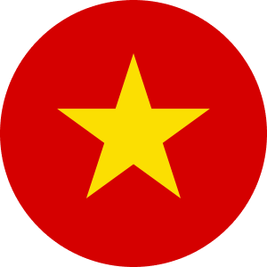 Vietnam-Mask